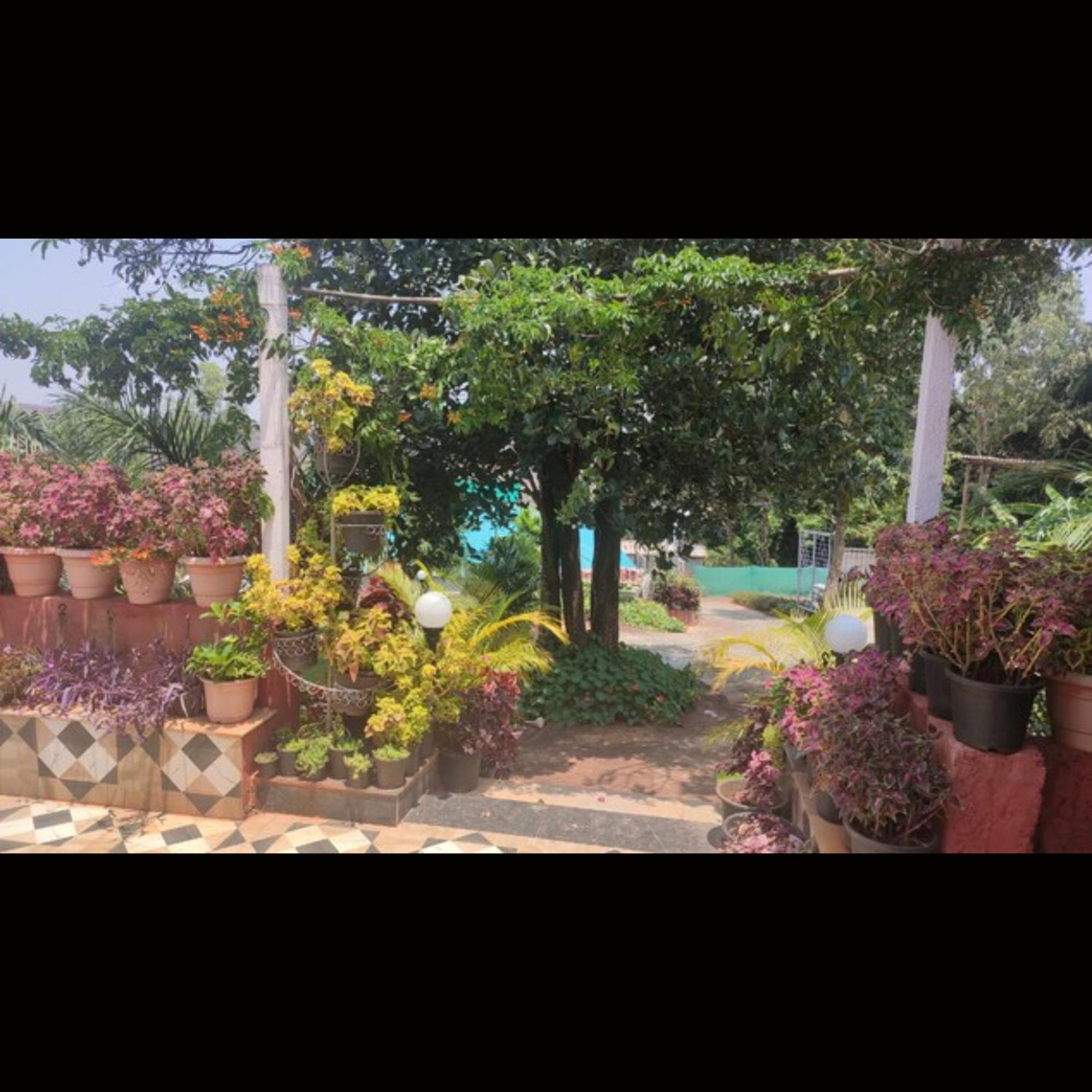 D's Den Hotel Panchgani Buitenkant foto